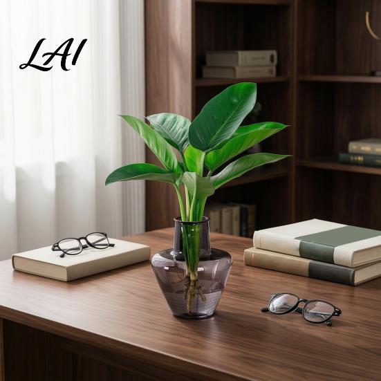 Indoor Hydroponic Plant Pot Clear Vase Glass-Like Plastic Holder Modern Vase for Plants Table Centerpiece Home Desk Shelf Decoration Transparent