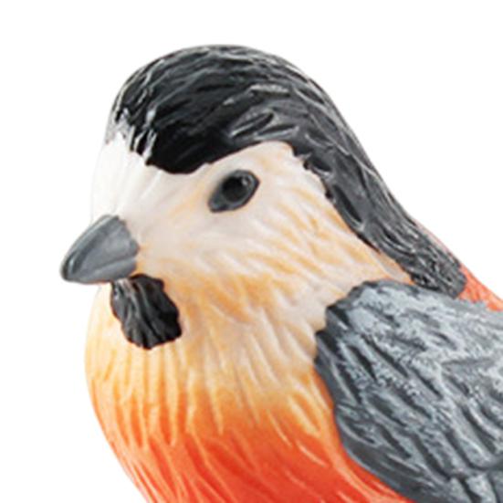 Feather Animal Model Simulated Magpie Pigeon Cuckoo Blue Wren Rusty-breasted Tit Solid Model Ornament PVC Bird Statue Figurine Desktop Decoration