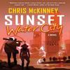 Sunset Water City by Chris Mckinney Hardback Book 9781641295130