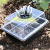 12/6 Hole Seedling Box Rectangular Breathable With Light Seedling Extractor For Vegetable Succulent Horticultural Planting Tray