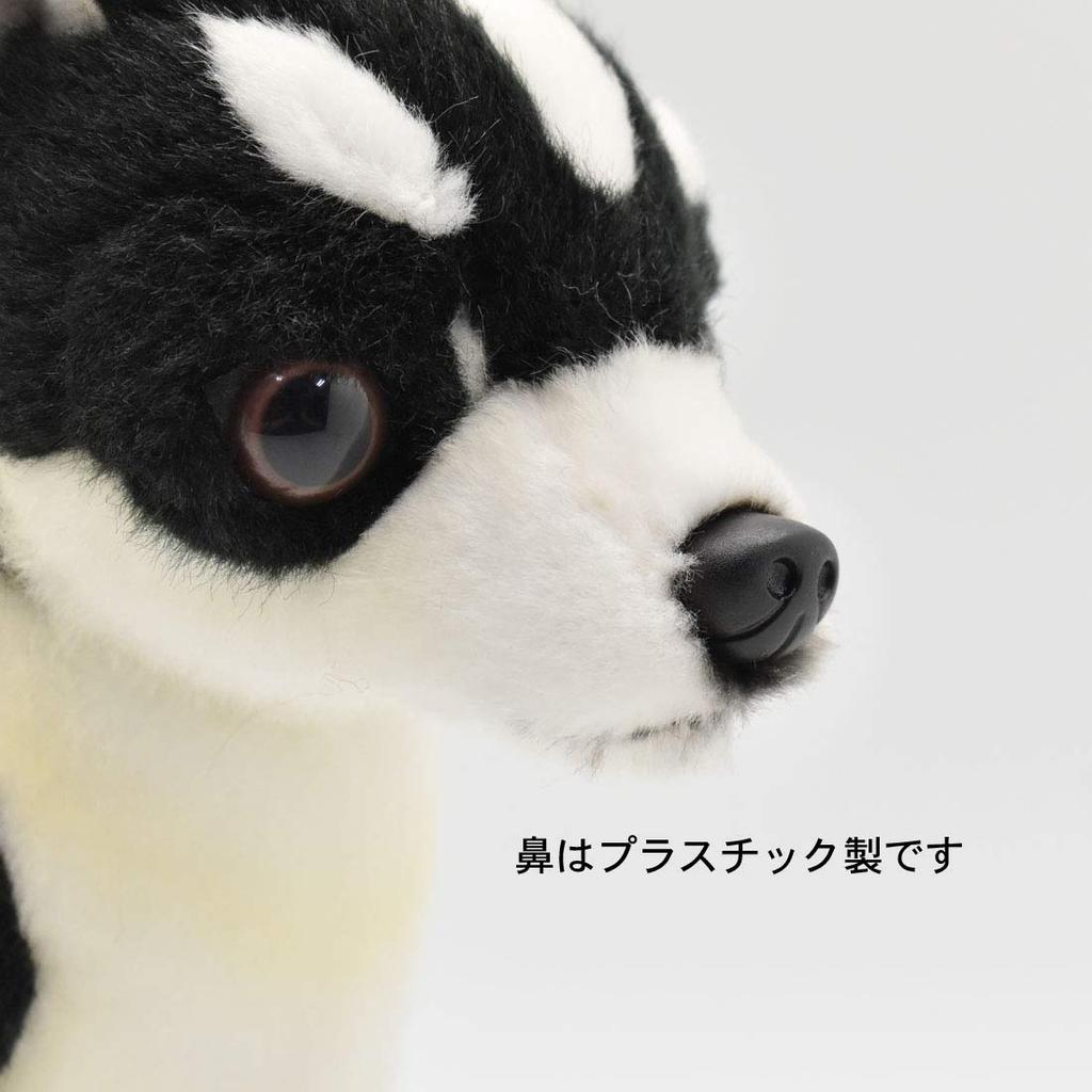 BH6367 HANSA Čivava 27