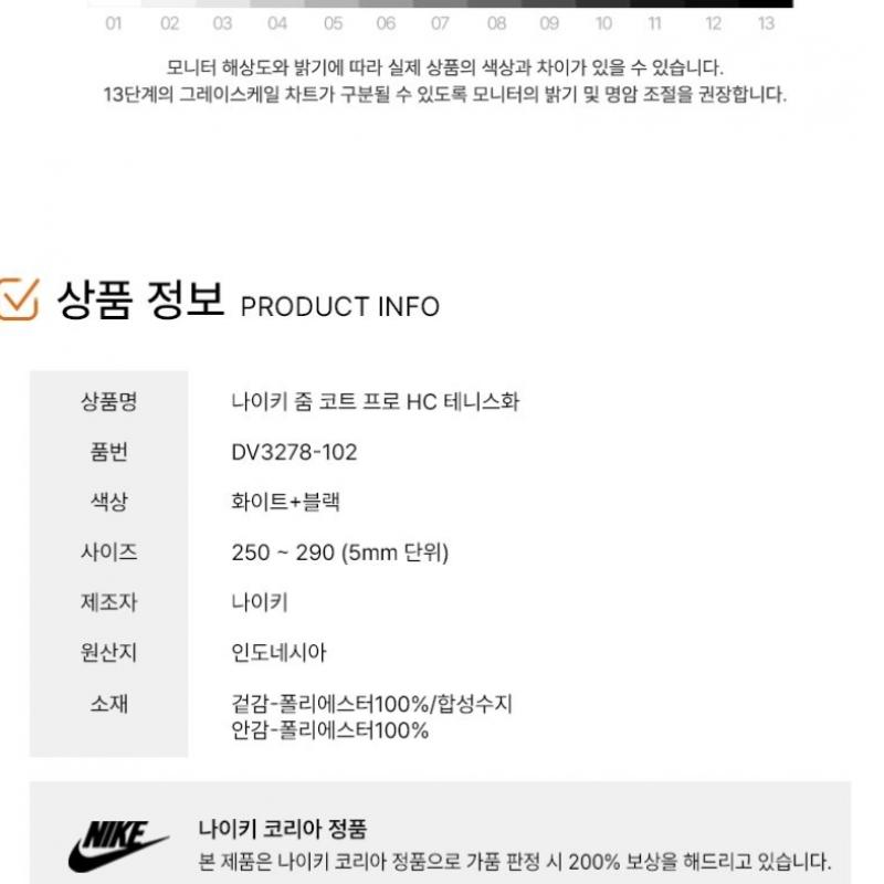 Nike Tennis Shoe Zoom Court Pro Hc