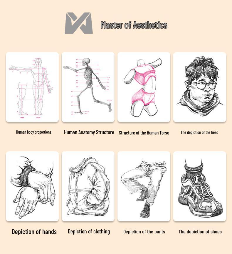 Dynamic Light & Shadow: Art Academy Sketch Tutorial for College Entrance Exams by Renowned Teacher