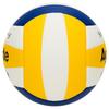 Angnet Deli F1257 Training Volleyball