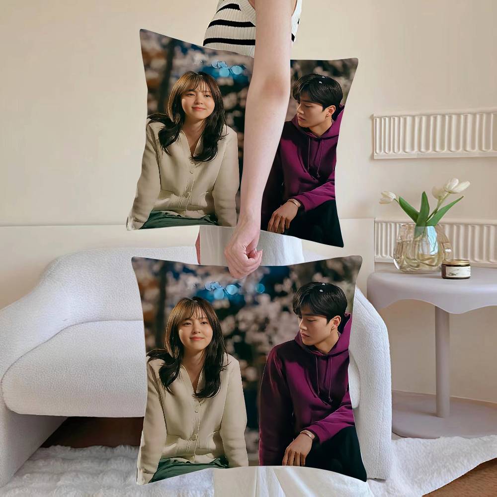 N-Dennoch Kissenbezug Sofa und Wohnzimmer Dekorative Kissenbezüge Staubdicht und Milbendicht Unsichtbarer Reißverschluss