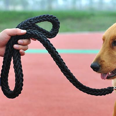 Guinzaglio per cani di grossa taglia con corda di trazione e fibbia resistente, guinzagli intrecciati in nylon resistenti e durevoli lavorati a mano per cani di media e grande taglia Bully