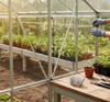 Stainless Steel Garden Nails W-Type Fixing Buckle Z-Type Hook For Greenhouse Gardening Accessories