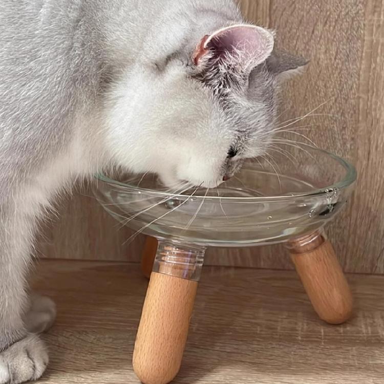 Elevated Dog Bowl Set Insert Dish Feeders And Easy To Clean Design For Small To Large Dogs Feeding Stand