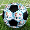 Elsa Theme Size 5 Soccer Ball, Suitable for Both Indoor and Outdoor Matches, a Gift Suitable for Everyone.