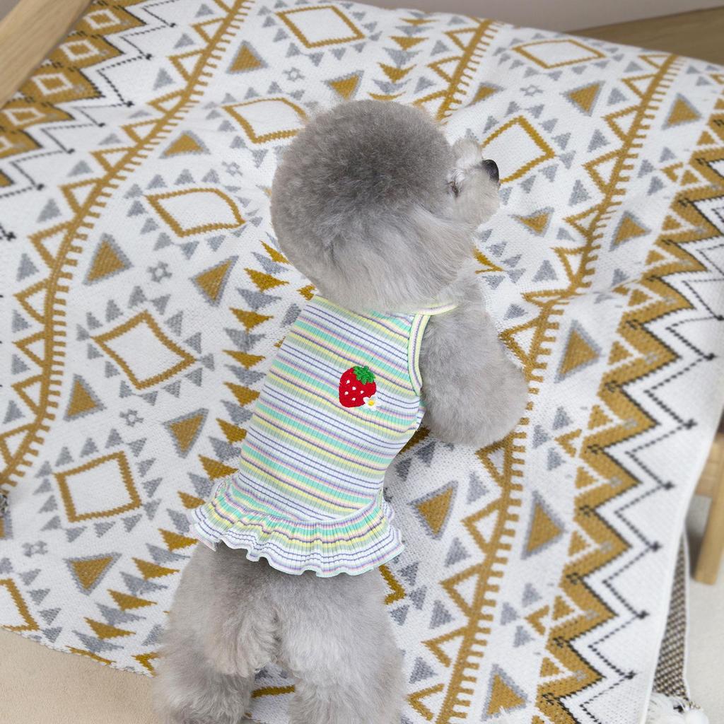 Striped Strawberry Princess Dress for Small Dogs - Spring/Summer Collection