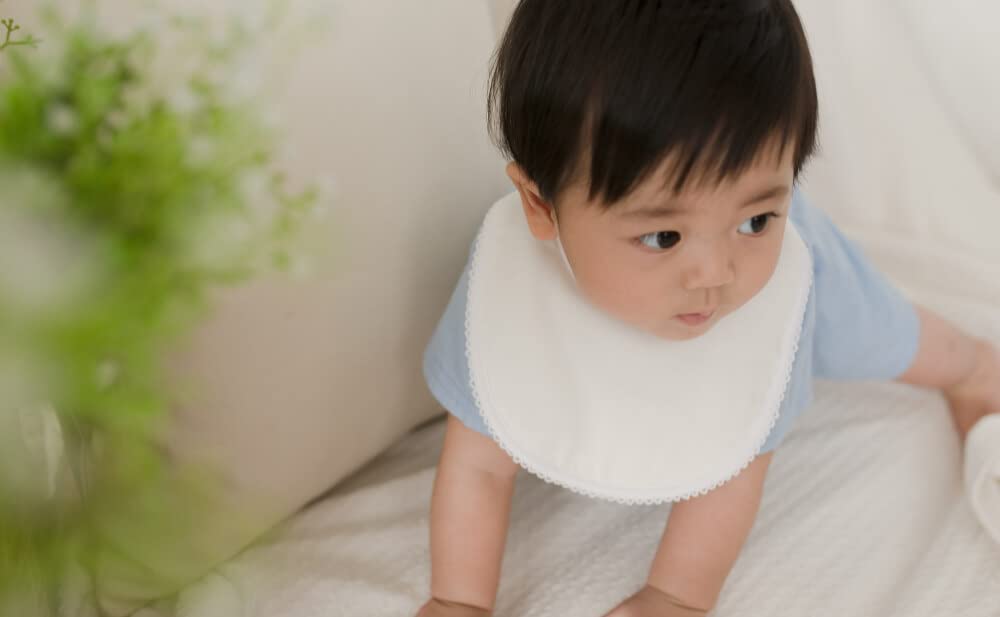 hugbaby Basic Set of 3 Gauze with Waterproof Detachable Made in Japan Bibs, (Boxed), 4-Layer Sheet, Snaps,