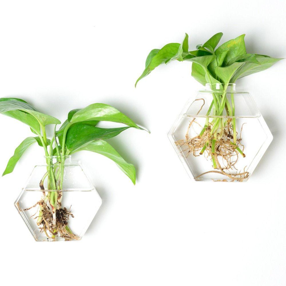 Hydroponics Plants Wall Hanging Vase Transparent Plant Propagation Vase  for Home Office Decor