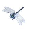 Künstliche Libellen-Dekoration mit Kordel/Anstecknadel Tragbar Outdoor Camping Mücken Fliegenabwehr Simuliertes 3D Libellenmodell Ornament Kinder Lernspielzeug