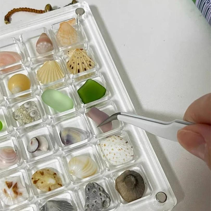 2PCS Acrylic Magnetic Seashell Display Box, Small Seashell Display Case, Magnetic Shell Storage Box, Small Craft Organizers