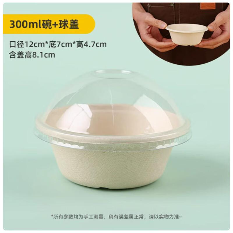 Disposable Pulp Dessert & Takeaway Bowls