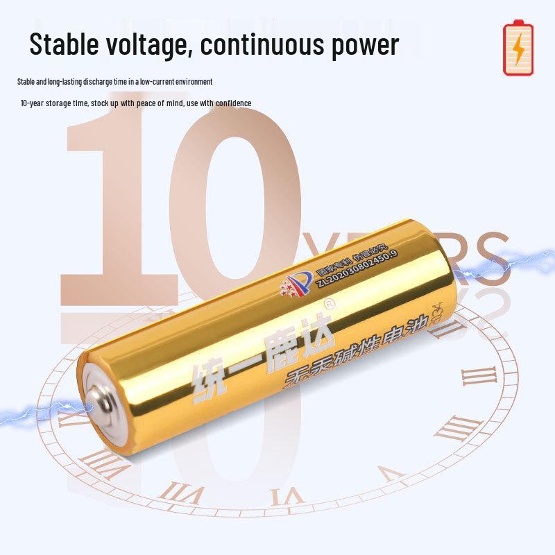 CR5 Alkaline Battery - AA & AAA for Smart Locks, Remotes, Flashlights, Mice