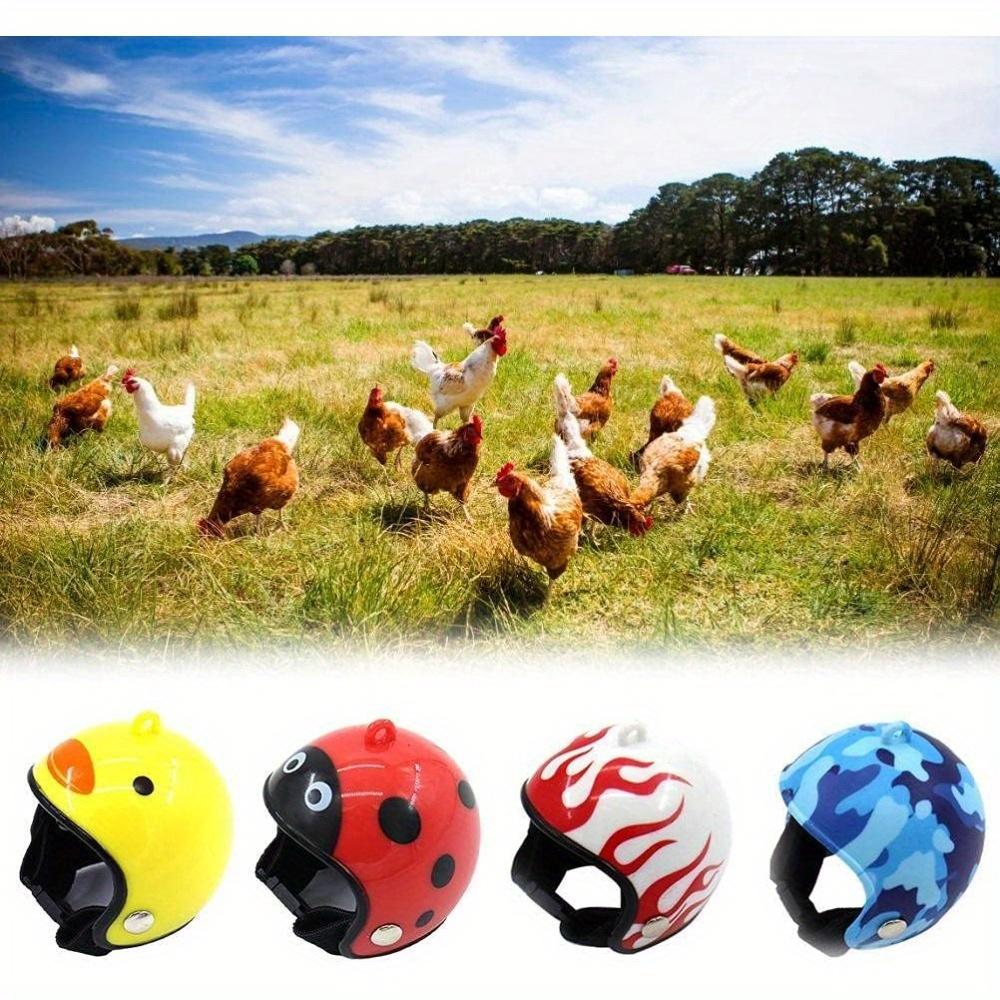 3pcs Chicken Helmet Plastic Bird Head Protective Hat Chicken Claw Helmets Fun Protective Hen Hat Small Pet Helmets, Small Pet
