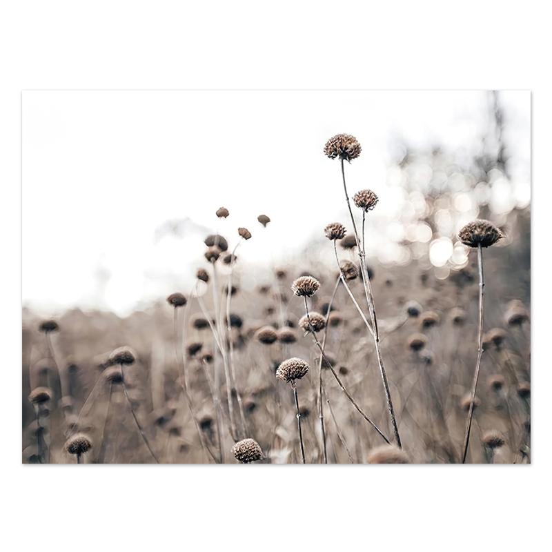 Pastoral Nature Scenery Plants Canvas Paintings Nordic Animal Reed Quotes Posters Modern Print Pictures for Wall Art Home Decor