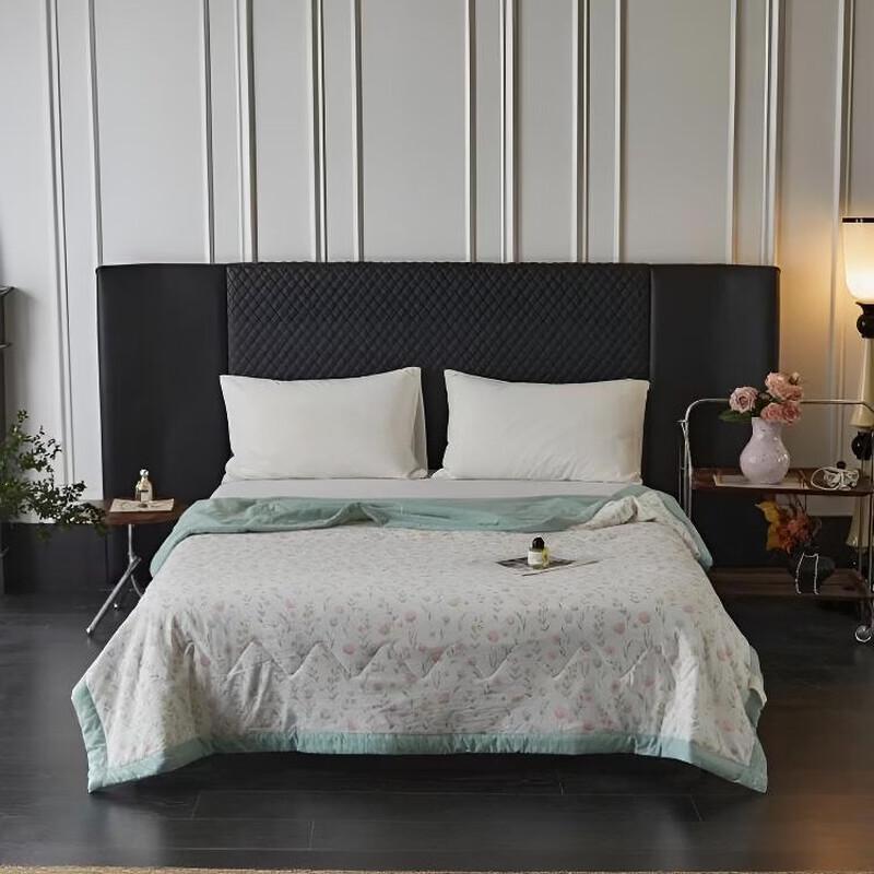 ZMNXG Silky Cloud Feel Summer Quilt