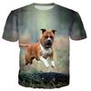 Funny Bull Terrier 3d Print Cute Dog Pattern Men Ladies Kids Harajuku T Shirt Street Breathable Lightweight Summer Sports Top