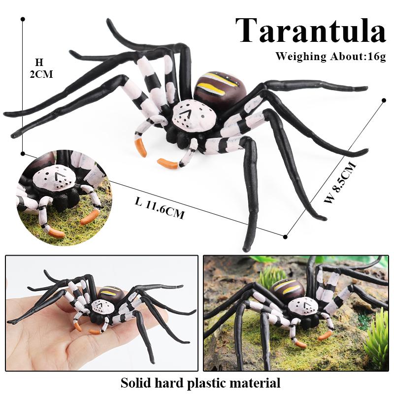 Oenux Insekten Tiere Modell Spinnennetz Skorpion Fledermaus Actionfiguren Figur Miniatur Niedlich Pädagogisch Kinder Spielzeug Halloween Geschenk