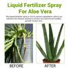 Profesyonel Aloe Vera Sprey Gübreleri Bahçıvanlık İçin Püskürtme Nazik Karışım Sağlık İçin Püskürtme Yaprak Gelişimi Besinleri