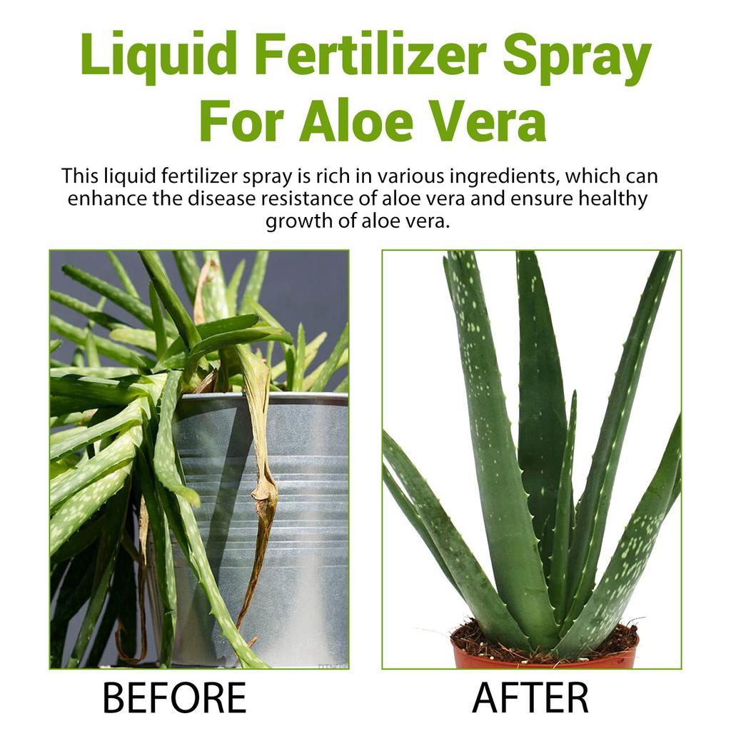 Profesyonel Aloe Vera Sprey Gübreleri Bahçıvanlık İçin Püskürtme Nazik Karışım Sağlık İçin Püskürtme Yaprak Gelişimi Besinleri