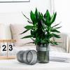 MOJY Imitation Glass Hydroponic Vase