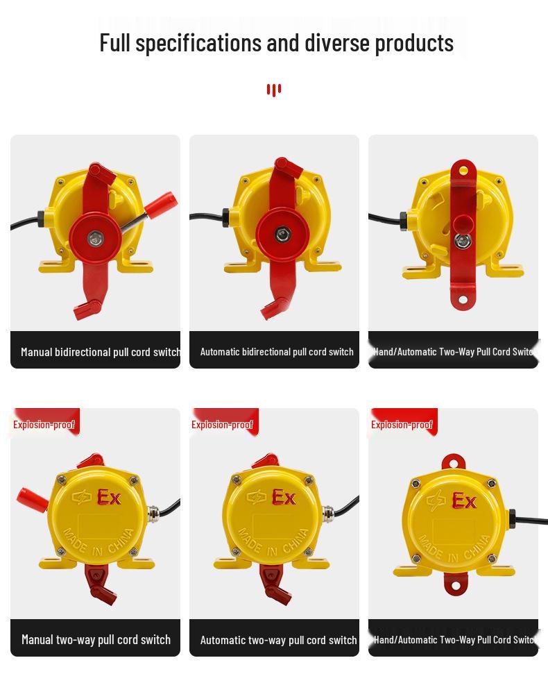 Explosion-Proof Belt Rip Detection Sensor ZLK-II DB-100 Longitudinal Rip Switch ZL-B