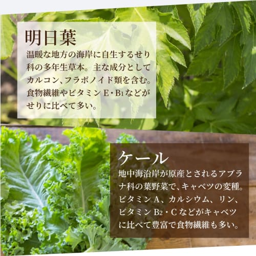 Plant Enzyme Green Juice Jelly