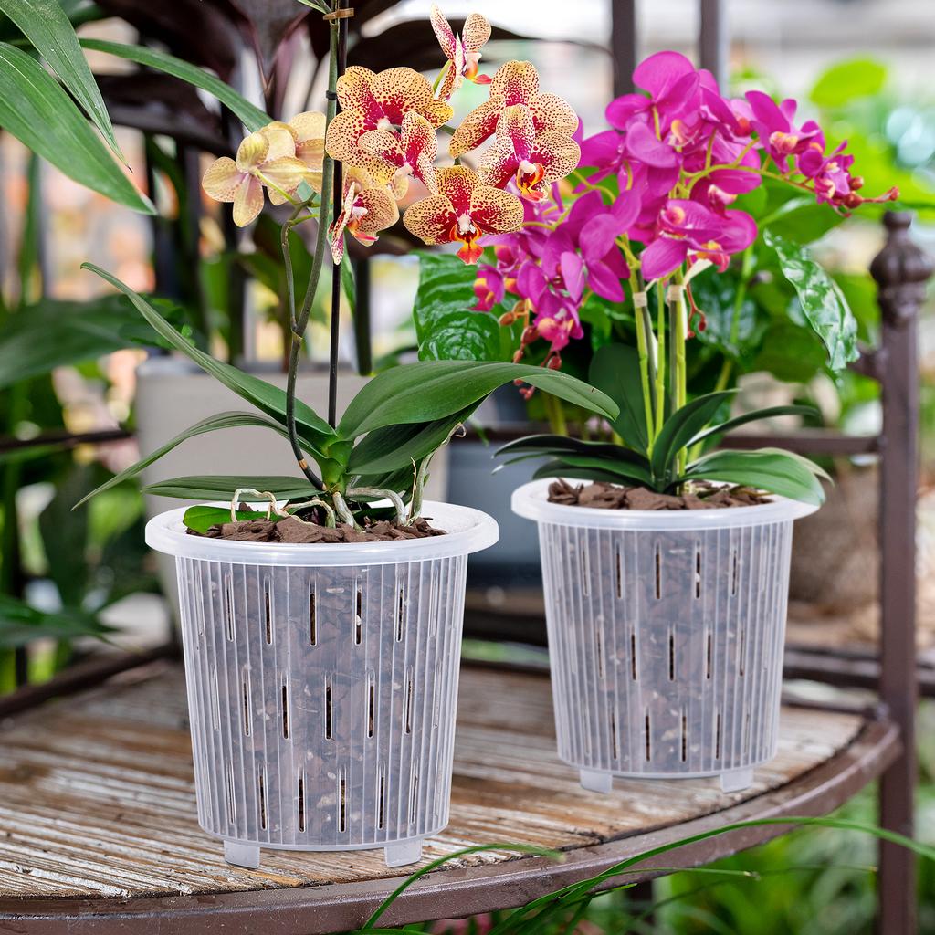 Meshpot Clear Plastic Orchid Pots For Flower Breathable Basin Orchid Planters Root Control Orchid Transparent Desktop Pot
