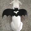Pet Cat Dog Costume Bat Wings Walking Harness Vest Chest Strap Harness with Leash (M)