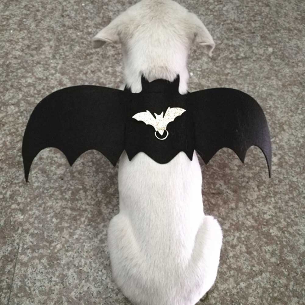 Pet Cat Dog Costume Bat Wings Walking Harness Vest Chest Strap Harness with Leash (M)
