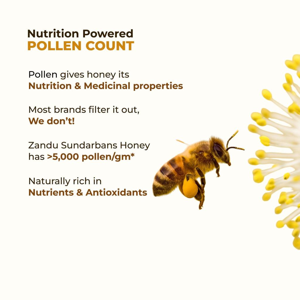 Zandu Sundarban Forest Honey 500 G Pure Mangrove Honey Signature Floral Taste Natural Sweetener No Sugar Adulteration