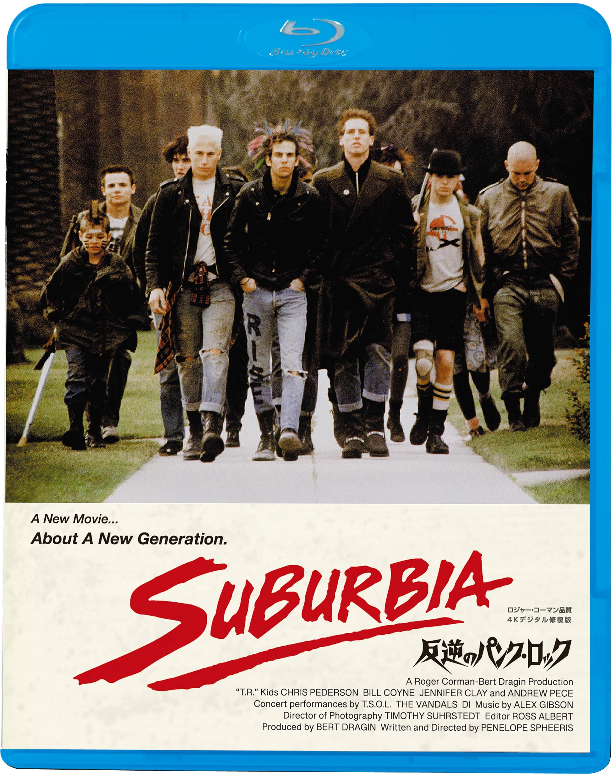 

Бунтарский панк-рок [Blu-ray]