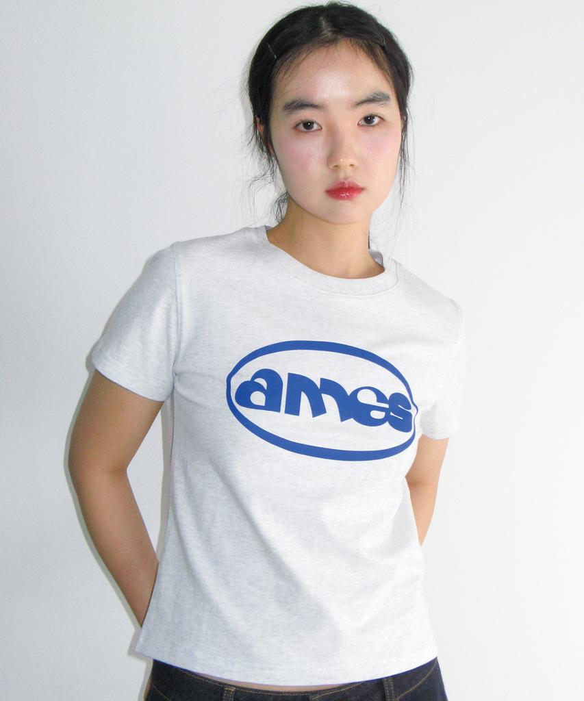 AMES-WORLDWIDE Ames Circle Logo Symbol Tee Light Gray