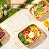 Disposable Food Container with Lid