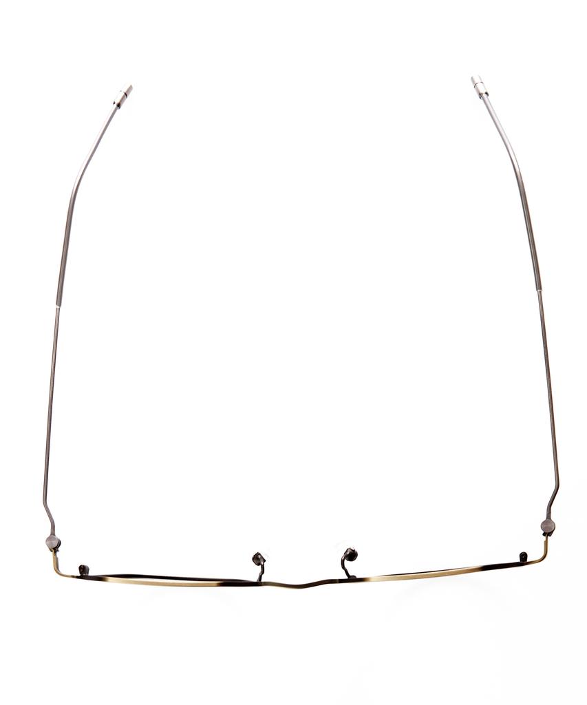 Loulou R Eye 262 Beta Titanium Light 48 Antic Gold
