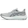 GT 2000 12 Piedmont Grey Steel Grey Women's 1012B506-023