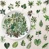 50Pcs/Set Green Leaves Series 02 PET Stickers Waterproof DIY Fashion Doodle Decals Stickers