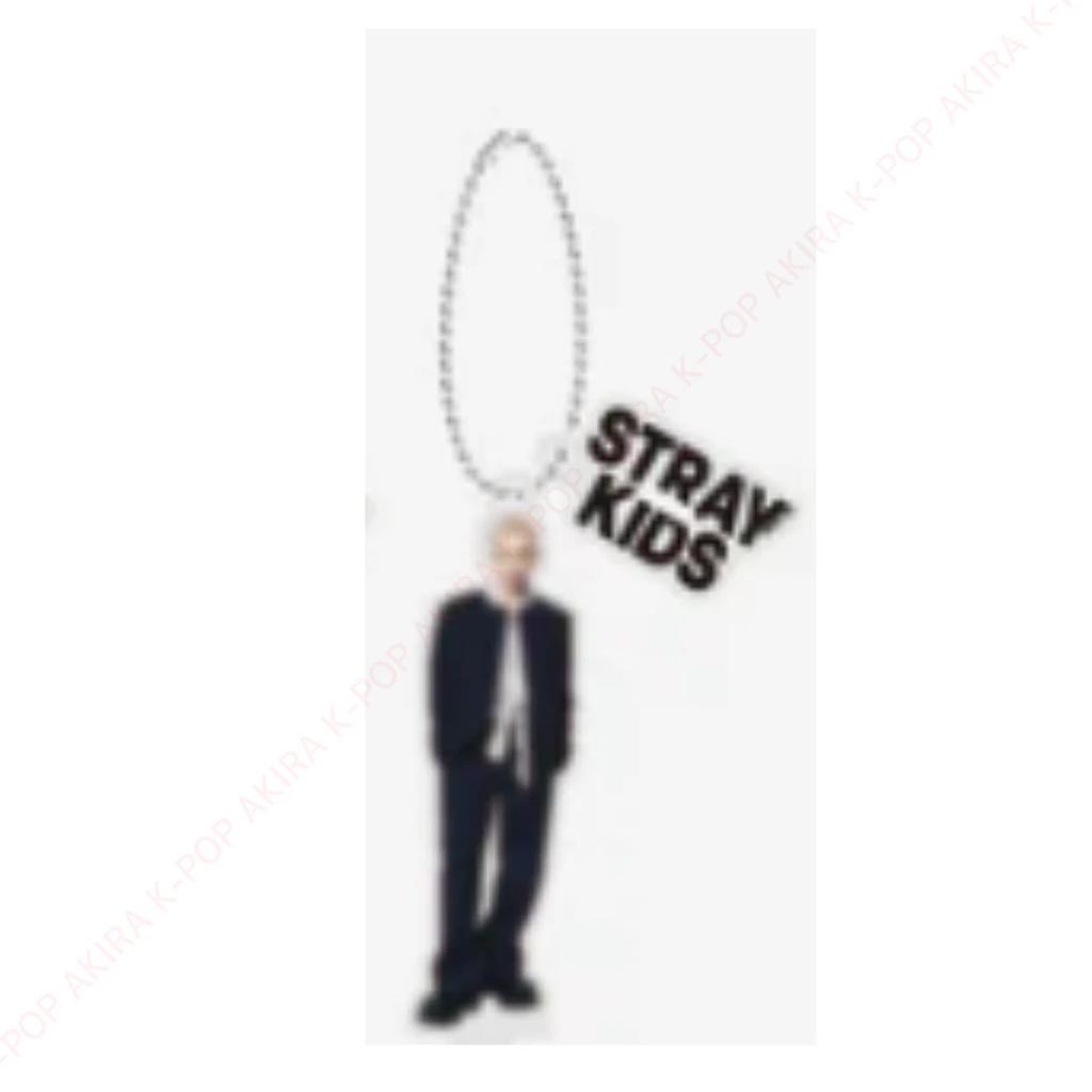 Stray Kids World Tour RUN IT JAPAN OFFICIAL GOODS MD PRE-ORDER