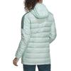 Performance Down Jacket Women's Transparent Mint/Mysterious Green GK8642