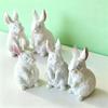 2026 Latest Models Rabbit Shape Aromatherapy Gypsum Crafts Silicone Molds DIY Animal Handicrafts Plaster Ornament Home Mould