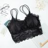 Lace Bra Wrapped Chest Beauty Back Underwear Women Fashion Belt Chest Padded Camisole