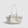 Early Spring New Versatile Niche Texture Dumpling Bag Versatile Large Capacity Casual Simple Daily Commuter Shoulder Bag Women