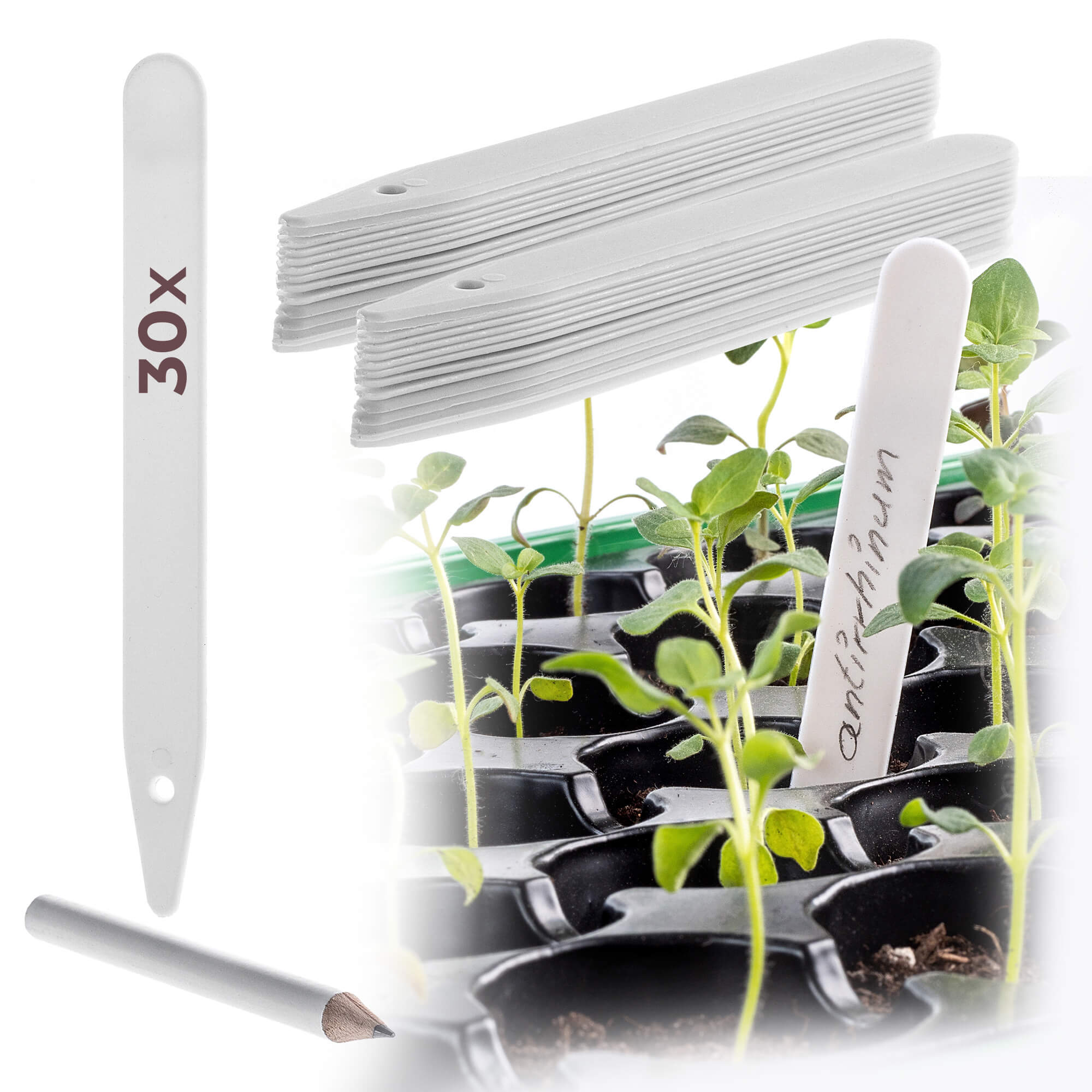 KADAX Étiquettes de marquage de plantes Auriac 30 pcs.