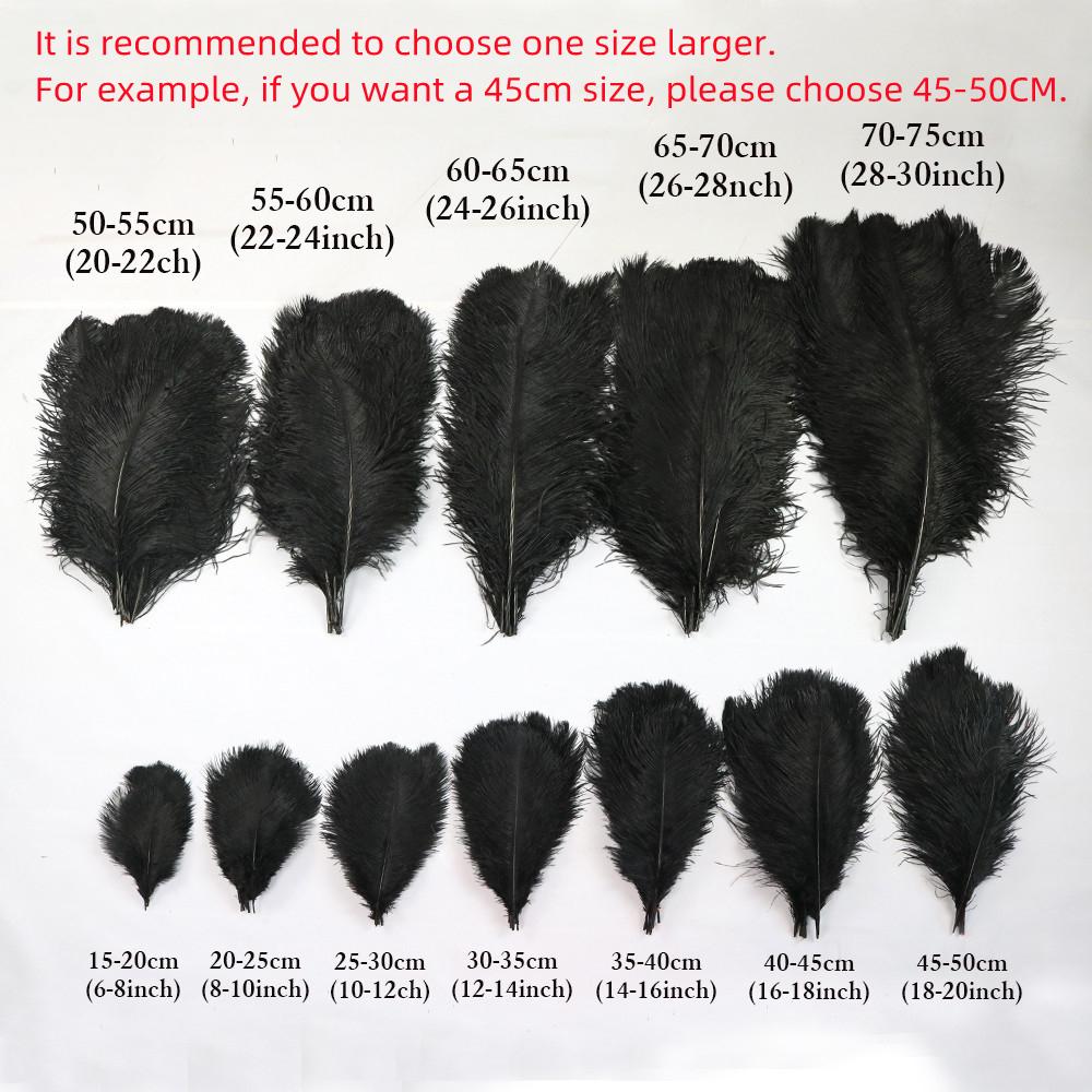 10pcslot Natural White Ostrich Feathers 15-50cm Big Plumas for Wedding Home Decoration Ostrich Plumes Table Centerpiece Crafts