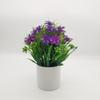 Mini Fake Potted Flowers Evergreen Bonsai Artificial Flower Bonsai Fake Plant Simulated Tree Pot Plants Desktop Decoration