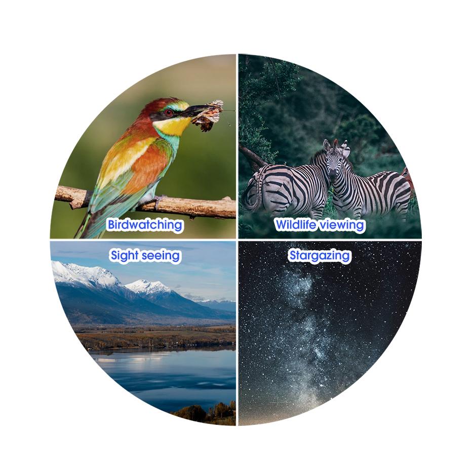 Binoclu SV47, binoclu profesional 8x32/8x42/10x42 rezistent la apă și ceață pentru BirdWatch