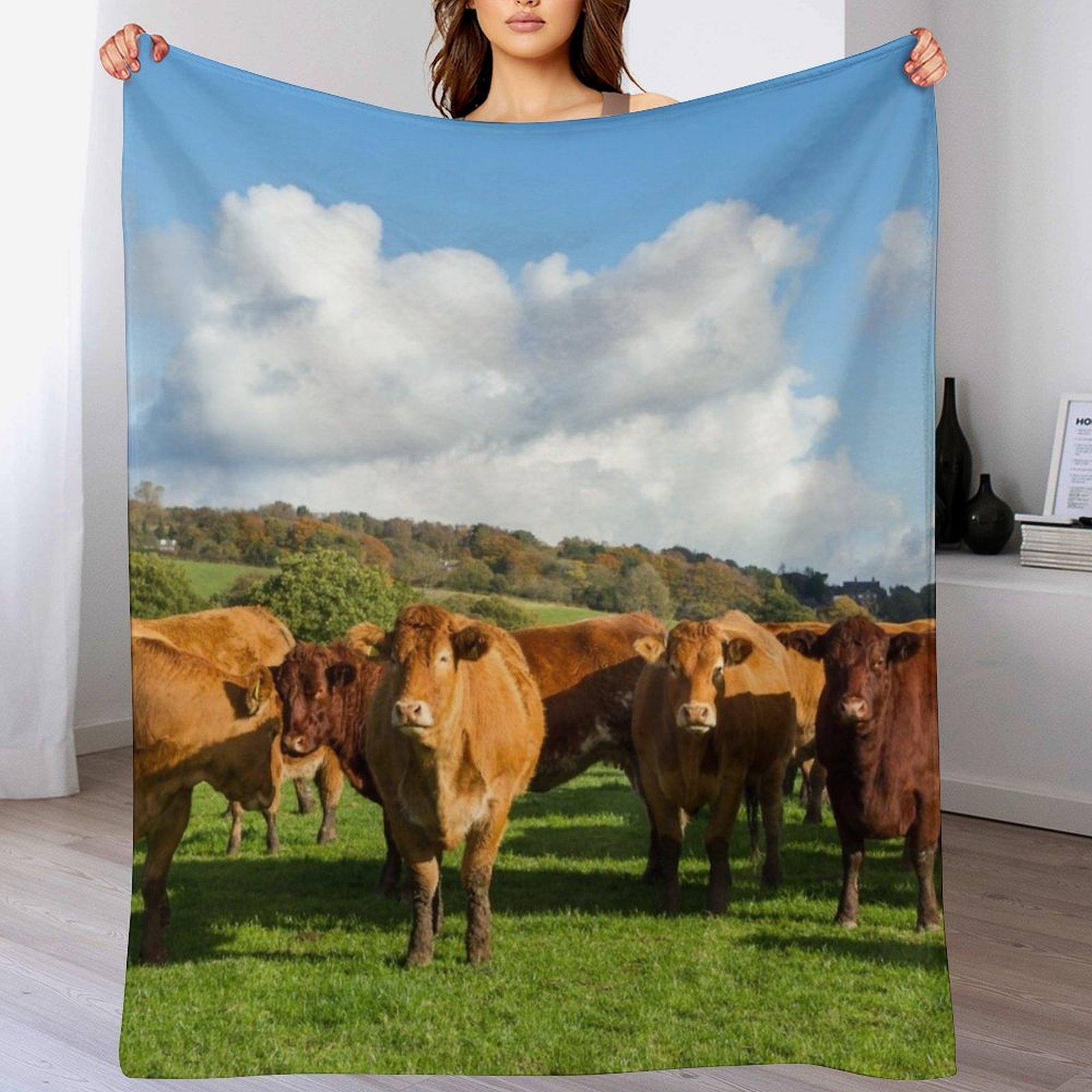 Limousin Cows Throw Blanket Cozy Throw Blanket Birthday Gift for Him Her 102x76cm(40x30in)